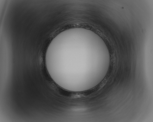 X0000101220754200806270924