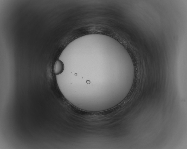 X0000101220755200806270924