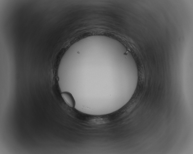 X0000101220759200806270924