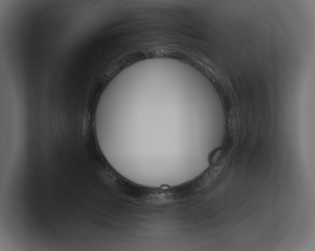 X0000101220760200806270924