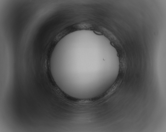 X0000101220762200806270924