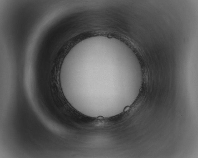 X0000101220764200806270924