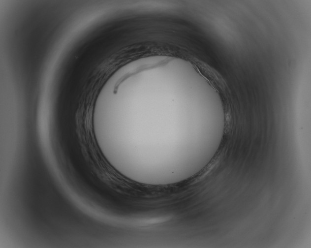 X0000101220765200806270924