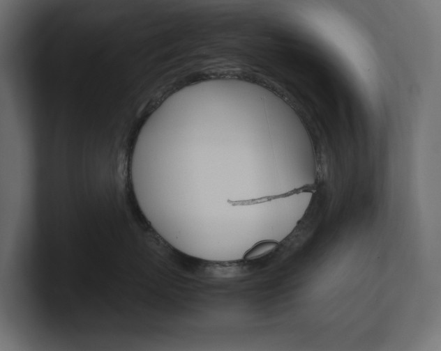 X0000101220767200806270924