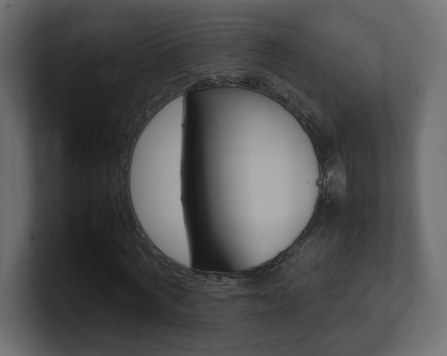 X0000101220772200806270924