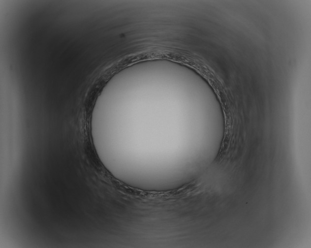 X0000101220773200806270924