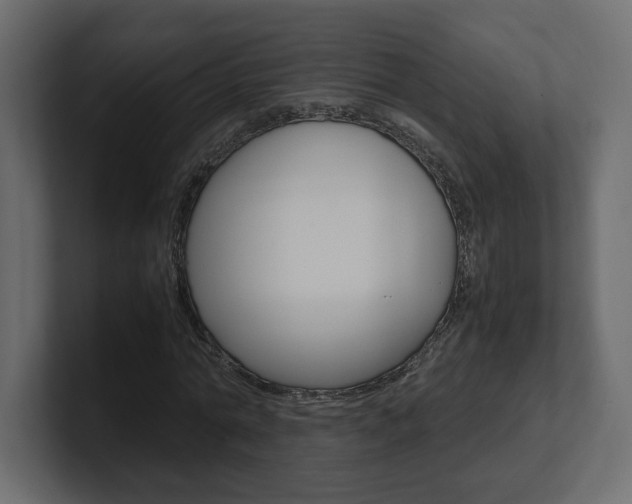 X0000101220774200806270924