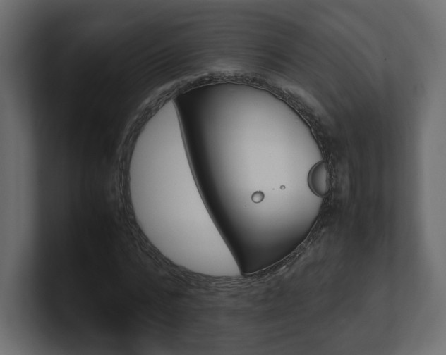 X0000101220776200806270924