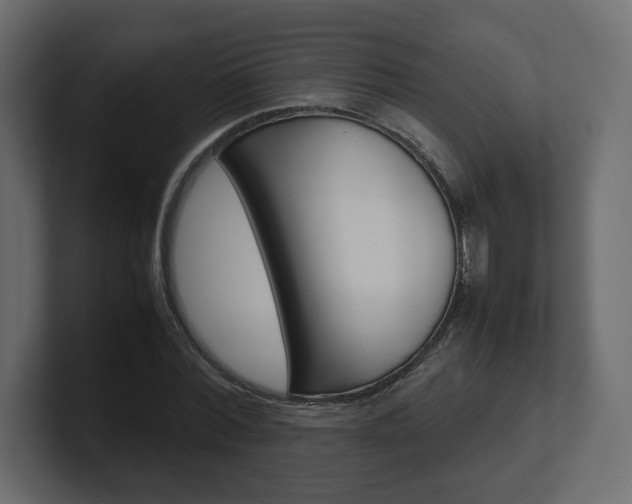 X0000101220780200806270924