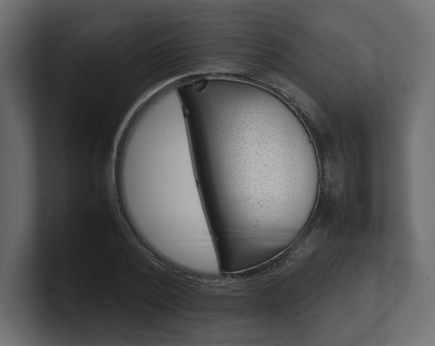 X0000101220784200806270923