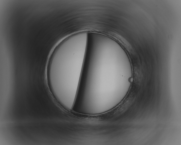 X0000101220788200806270923