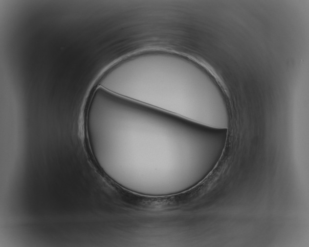 X0000101220791200806270923