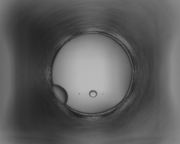 X0000101220793200806270923