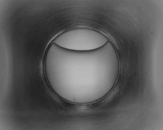 X0000101220798200806270923