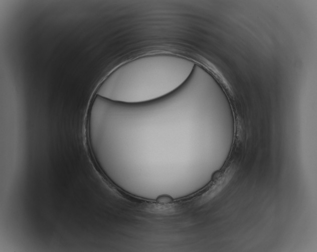 X0000101220802200806270923