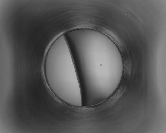 X0000101220804200806270923