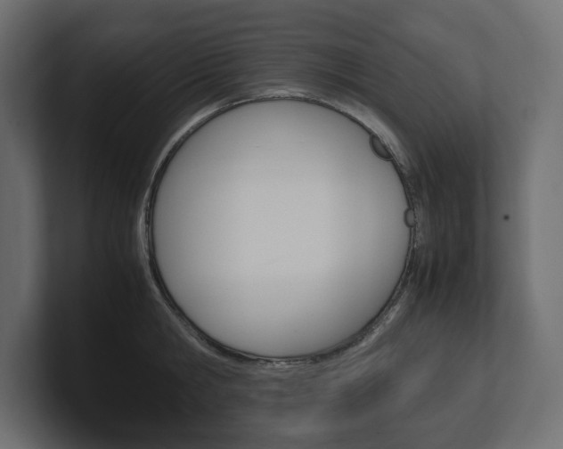 X0000101220806200806270923