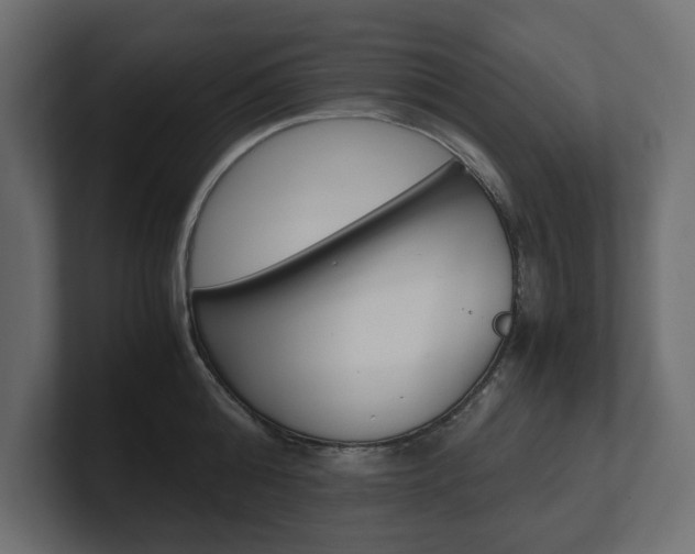 X0000101220808200806270923