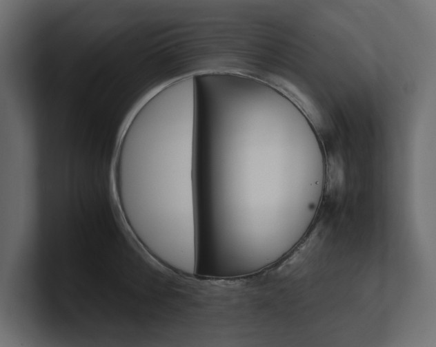 X0000101220812200806270923