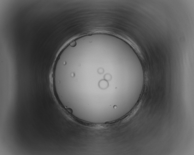 X0000101220814200806270923