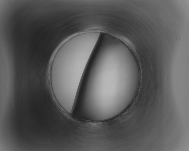 X0000101220816200806270923