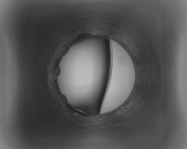 X0000101220817200806270922