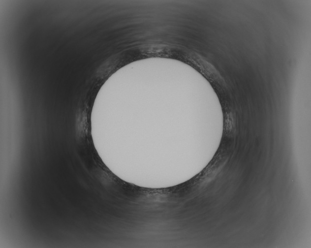 X0000101220820200806270922