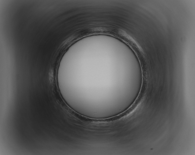 X0000101220825200806270923
