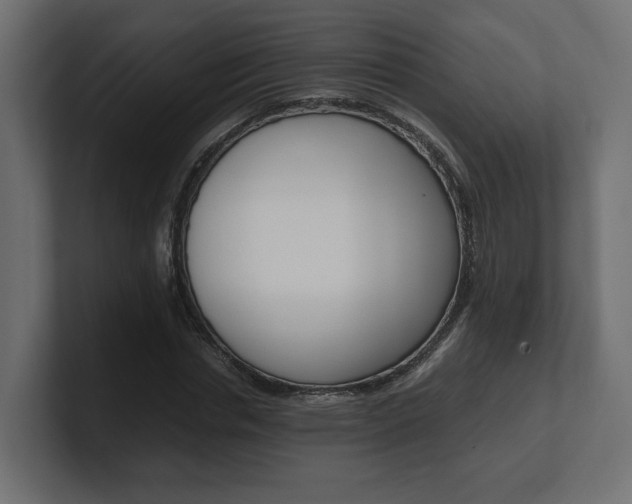 X0000101220826200806270923