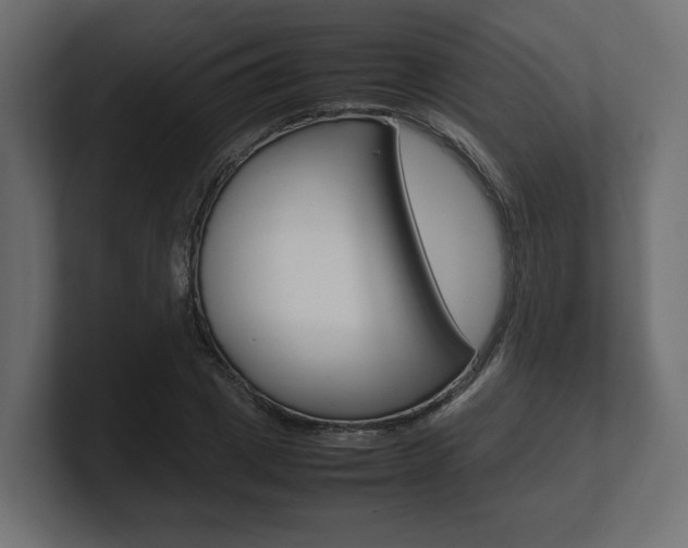 X0000101220833200806270923
