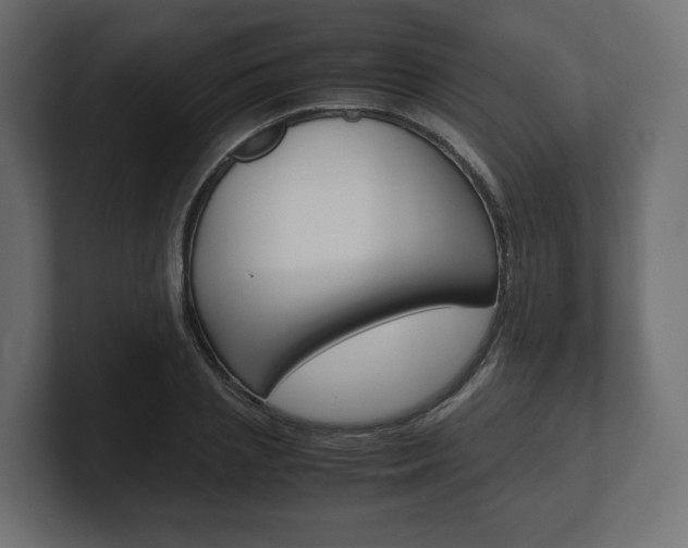 X0000101220837200806270923