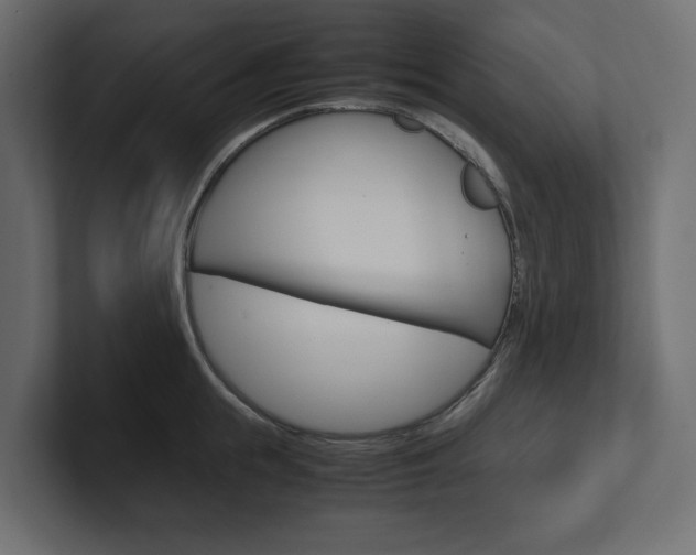 X0000101220855200806270923