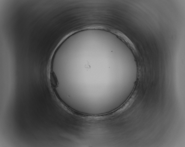 X0000101220860200806270923
