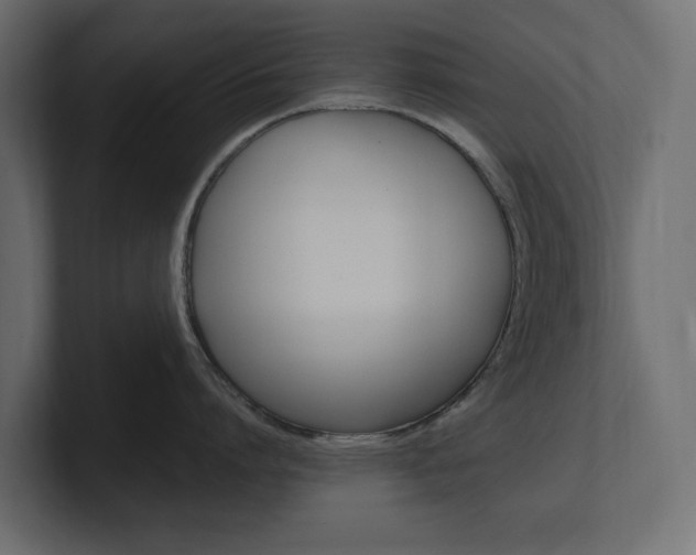 X0000101220864200806270923