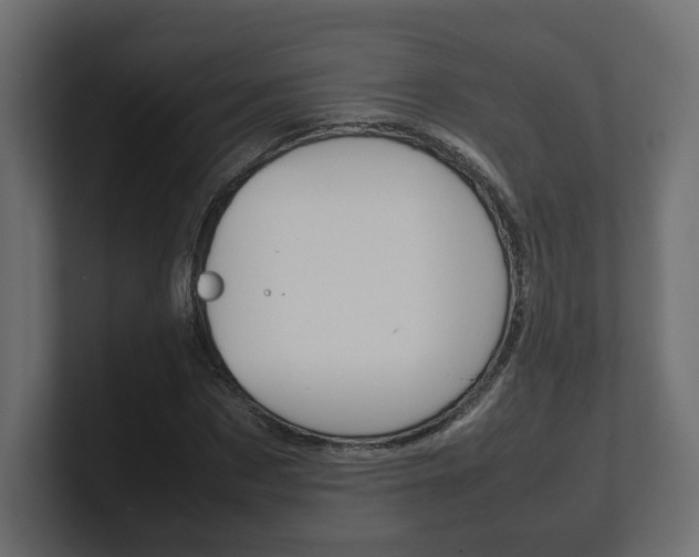X0000101220873200806270922