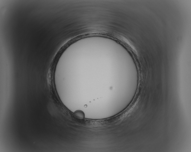 X0000101220875200806270922