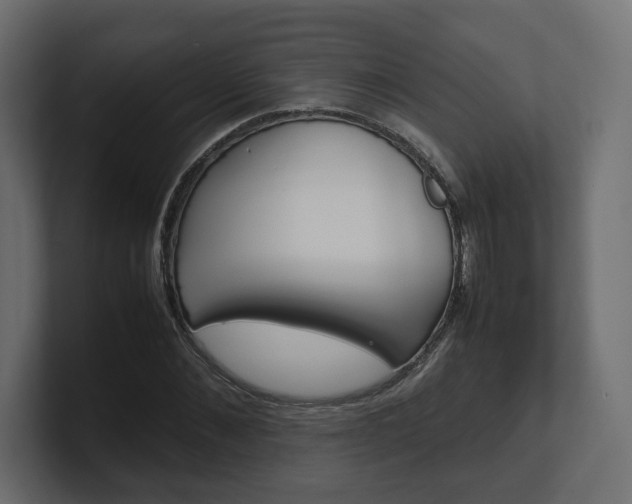 X0000101220876200806270922