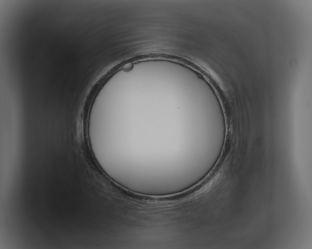 X0000101220877200806270922