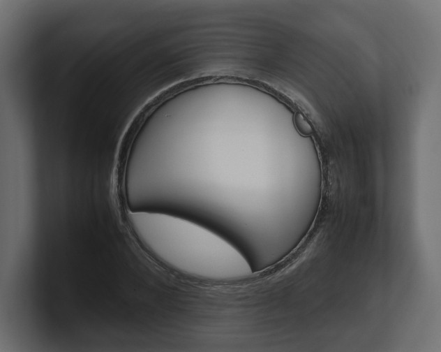 X0000101220880200806270922