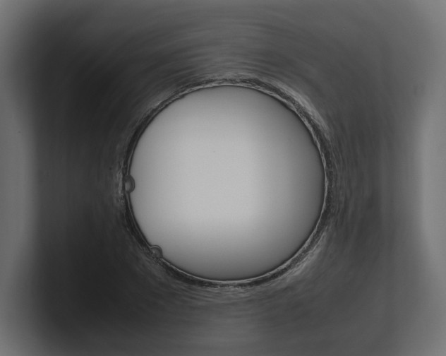 X0000101220881200806270922