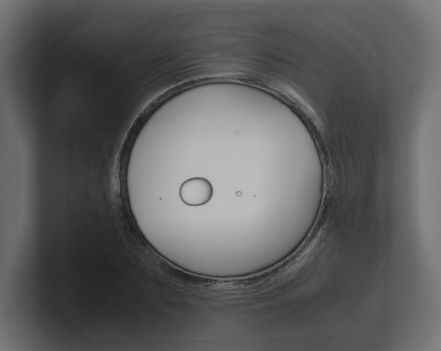 X0000101220883200806270922