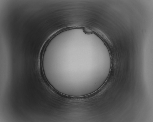 X0000101220884200806270922