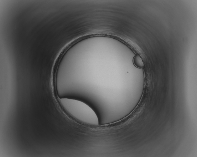 X0000101220888200806270922