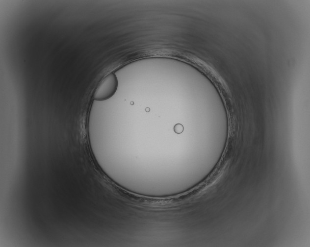 X0000101220889200806270922