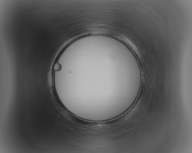 X0000101220891200806270922