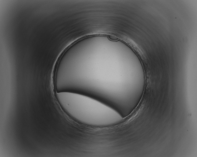 X0000101220892200806270922