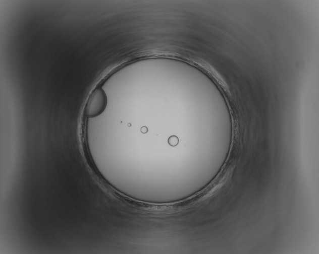 X0000101220893200806270922