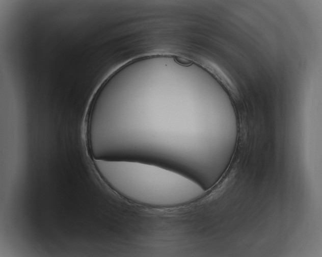 X0000101220900200806270922