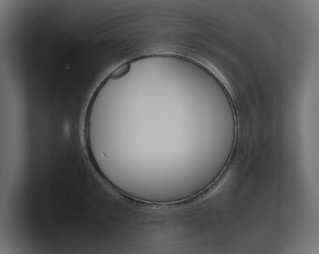 X0000101220901200806270922