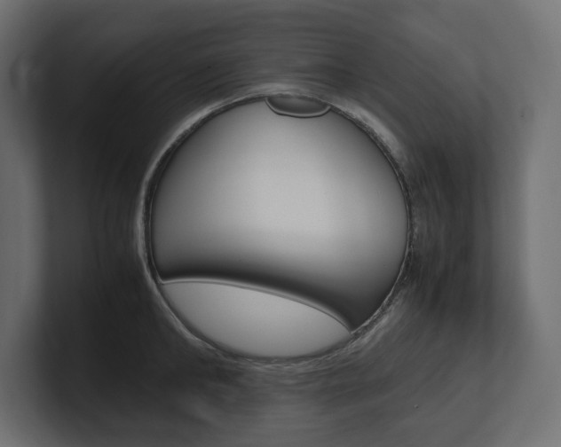 X0000101220902200806270922